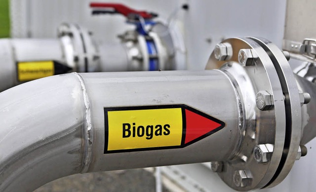 In der Steiermark gibt es eine Energie...ei der Biogas auch eine Rolle spielt.   | Foto: dpa