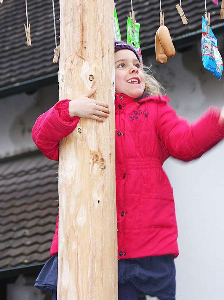 Mit dem Narrenbaumstellen begann in Wehr die heie Phase der Fasnacht.