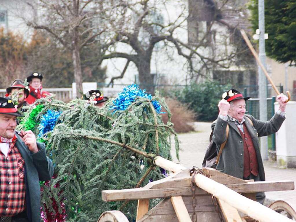 Mit dem Narrenbaumstellen begann in Wehr die heie Phase der Fasnacht.