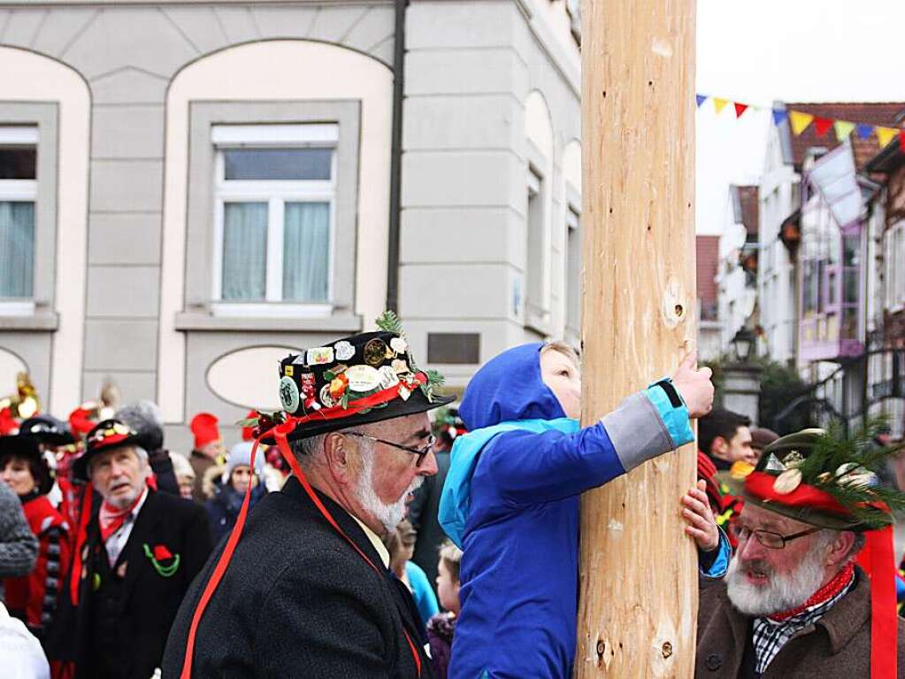 Mit dem Narrenbaumstellen begann in Wehr die heie Phase der Fasnacht.