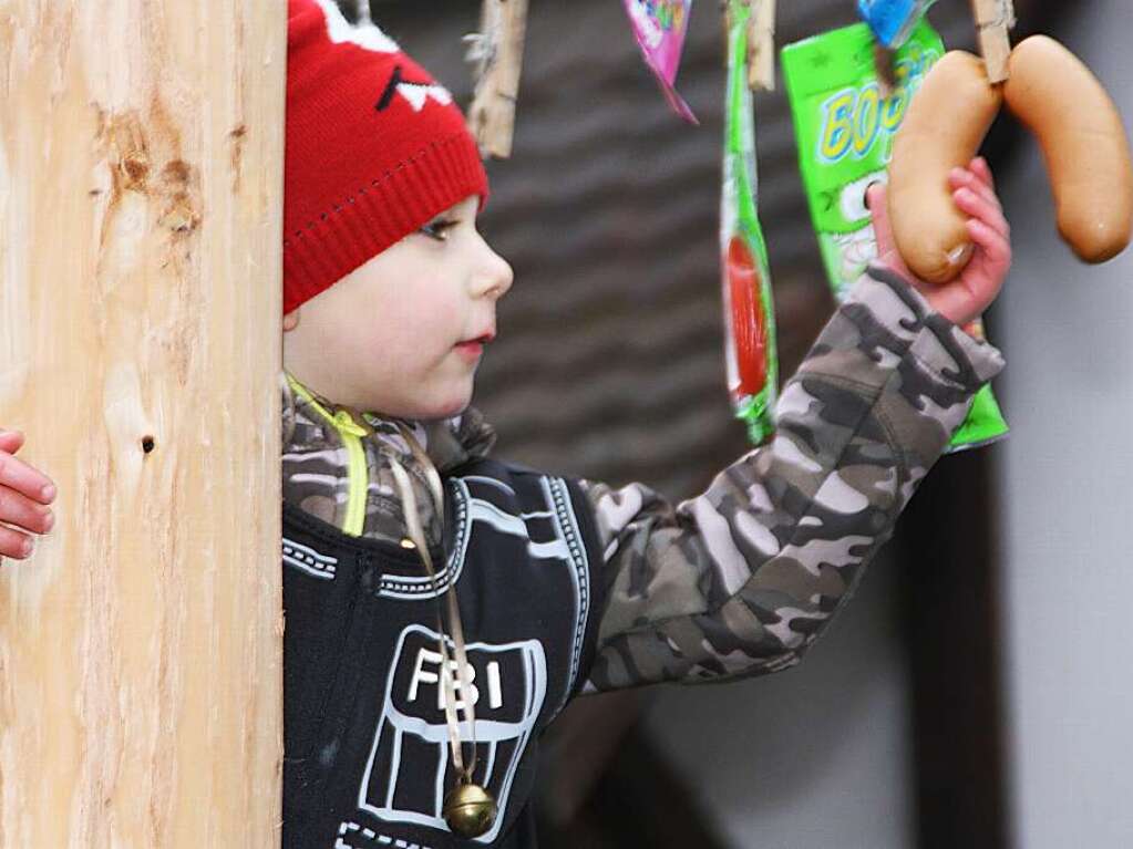 Mit dem Narrenbaumstellen begann in Wehr die heie Phase der Fasnacht.