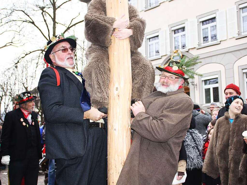 Mit dem Narrenbaumstellen begann in Wehr die heie Phase der Fasnacht.