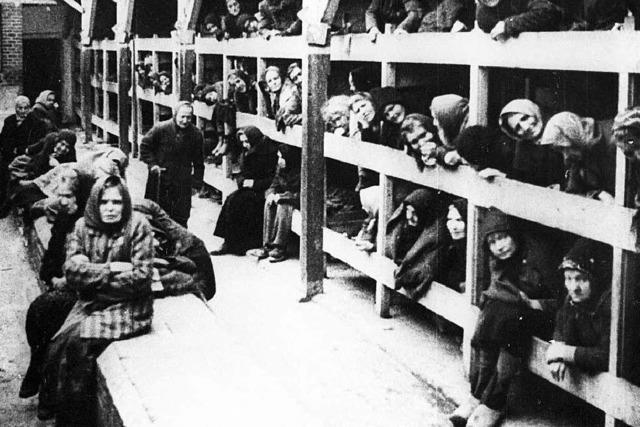 Vor 70 Jahren wurde das Lager in Auschwitz befreit