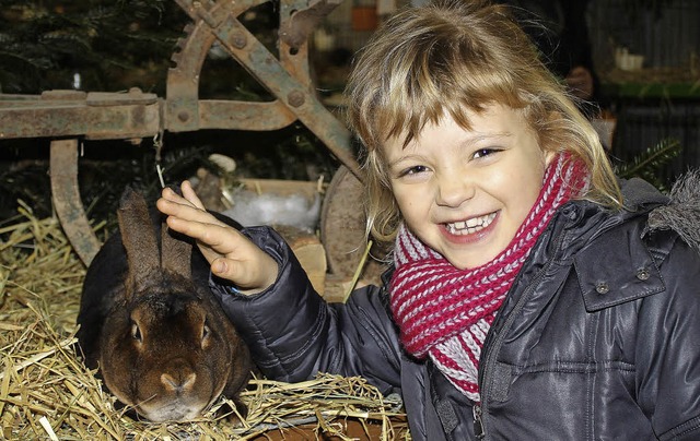 Vor allem bei den  Kinder sind die Kaninchen sehr beliebt als Streicheltier.   | Foto: Adelbert Mutz