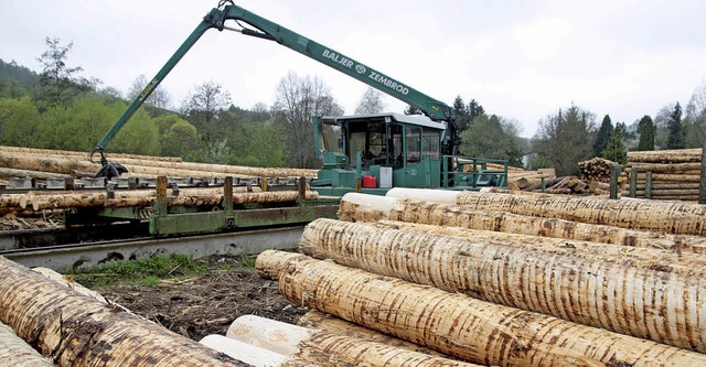 Das Holz vermarktet die FBG Schuttertal auf zwei Wegen.  | Foto: dpa