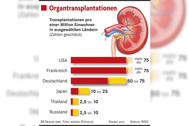 Einblick in den Organhandel: Wie ich mir eine Niere kaufte
