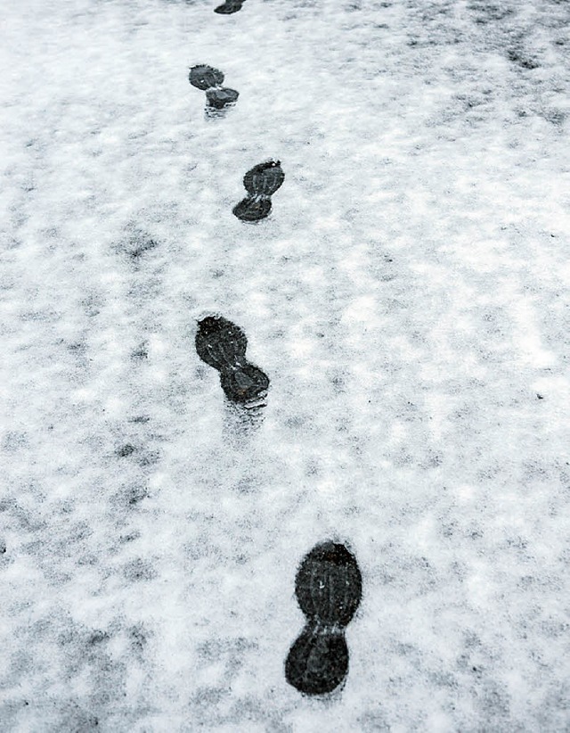 Auf den Spuren des Winters: Noch ist e...ur angezuckert. Aber nicht mehr lange.  | Foto: dpa