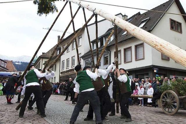 Fotos: Narrenbaumstellen beim Narrentag in Waldkirch