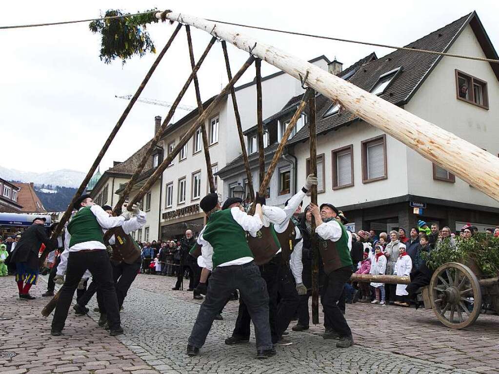 Narrenbaumstellen