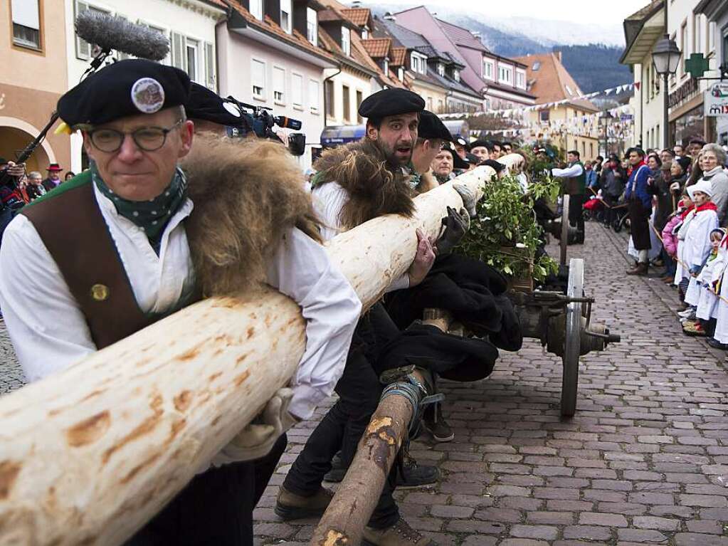 Narrenbaumstellen