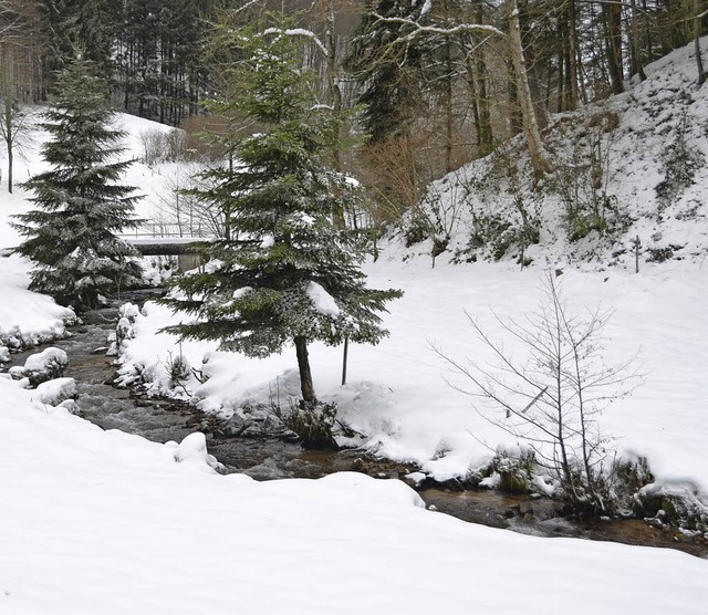 Winterlandschaft zwischen Malsburg  und Marzell.   | Foto: Markus Maier