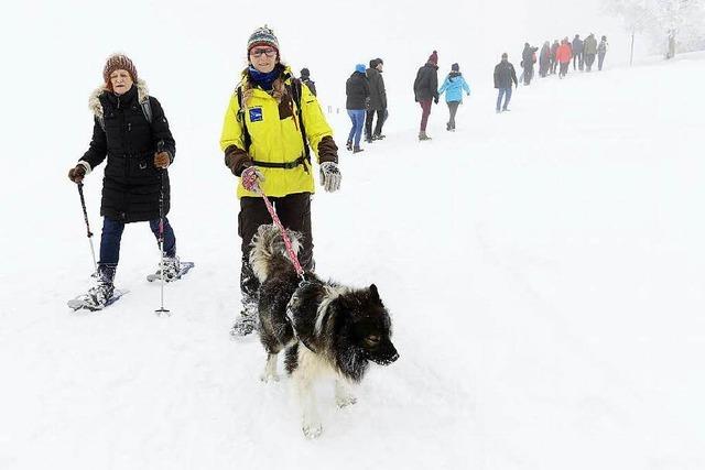 Fotos: Schauinsland im Schnee