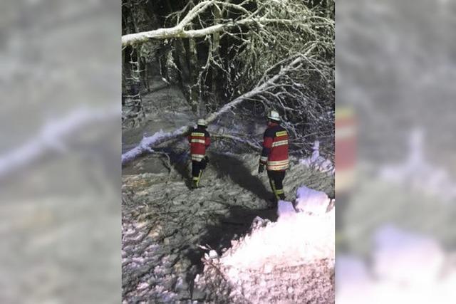 Feuerwehren im Dauereinsatz