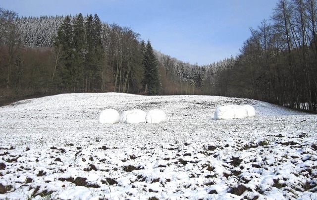 Winterimpressionen aus dem Bleichtal  | Foto: Reiner Merz