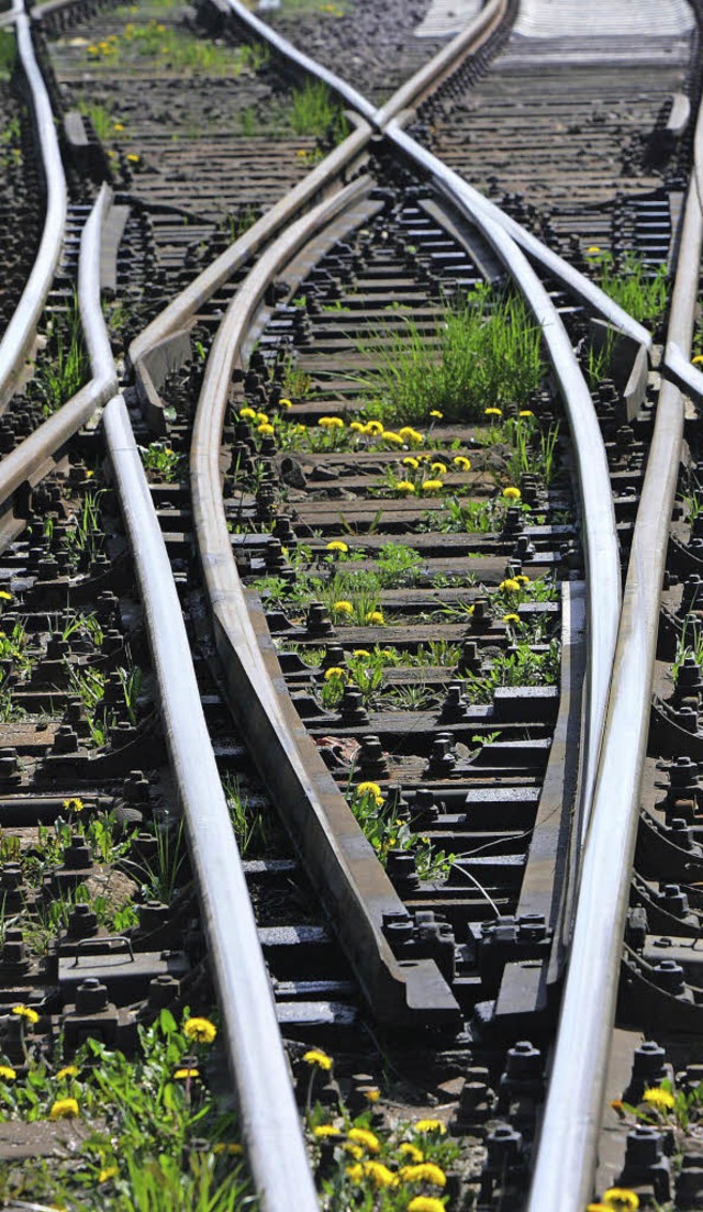 Klare Weichenstellungen knne es nur n... Gemeinderat von Kappel-Grafenhausen.   | Foto: DPA