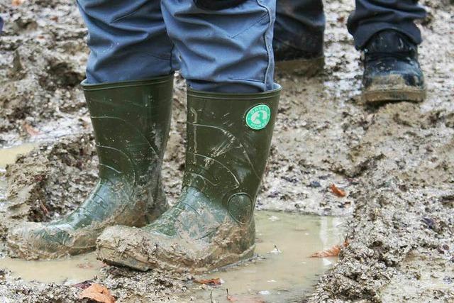 Egringer Holzauktion im Morast