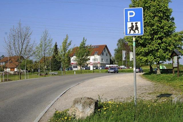 Die Himmelsliege soll es richten