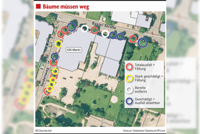 Zentrum wird kahler: 17 Bume fallen