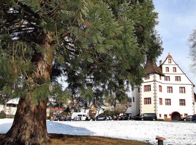 Das Schloss und der Baum im Vordergrun...lisse fr den Weihnachtsmarkt bilden.   | Foto: heidi fssel