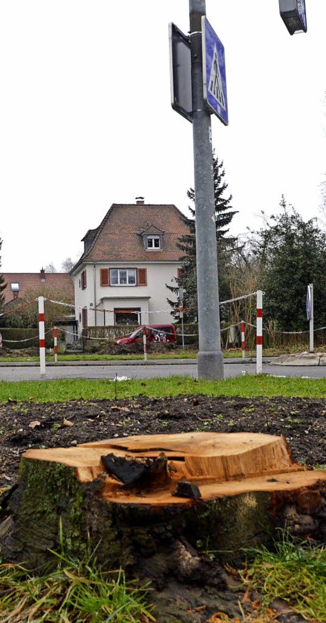 Die Grnanlage an der Nollinger Strae...t &#8211; ein Name wird noch gesucht.   | Foto: Gerigk