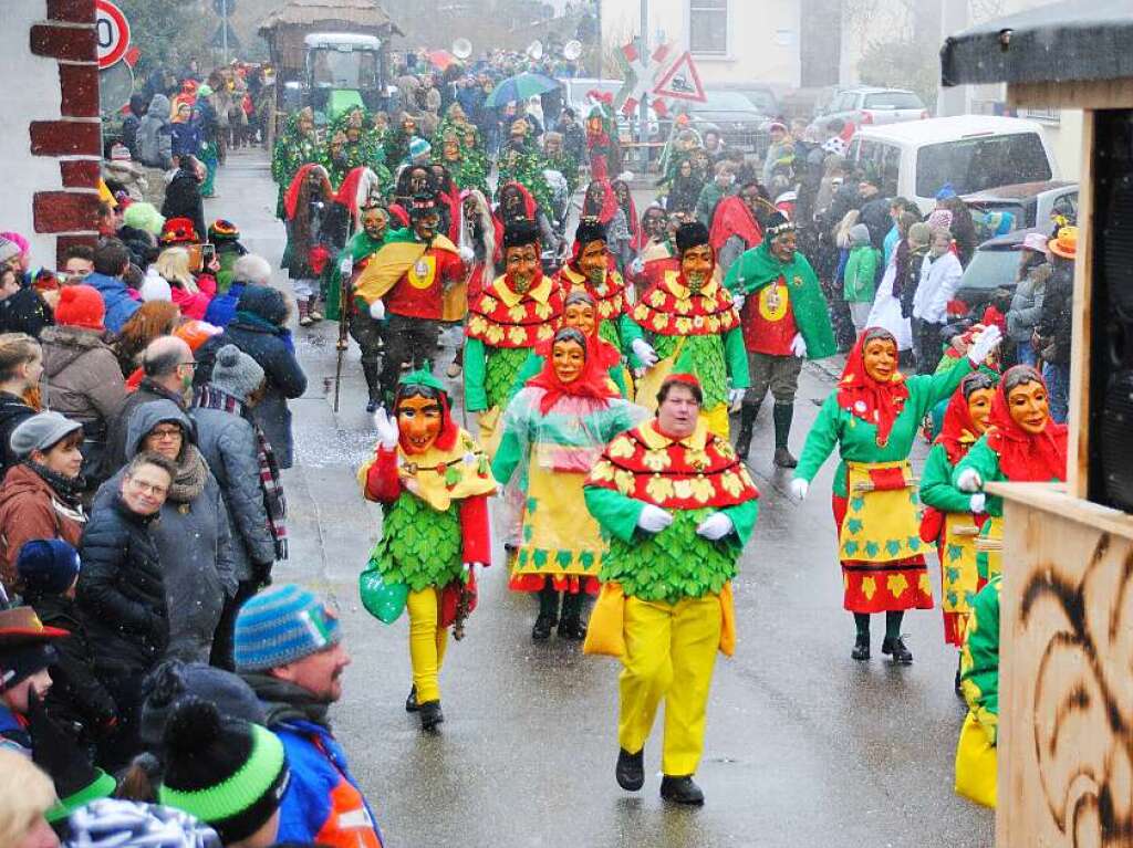 Impressionen vom Binzener Fasnachtsumzug