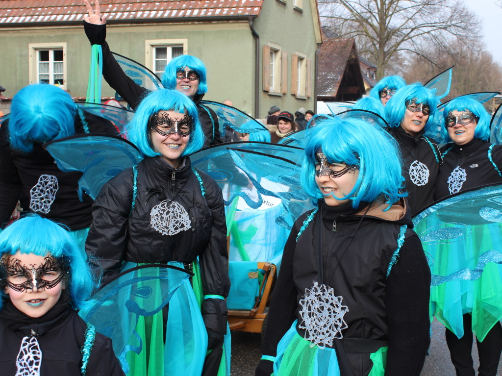 Impressionen vom Narrenumzug in Merdingen