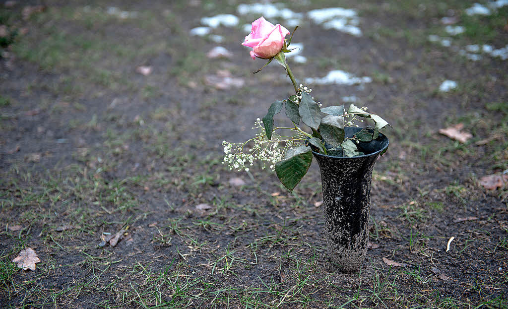 EINE ROSE Deutschland Badische Zeitung