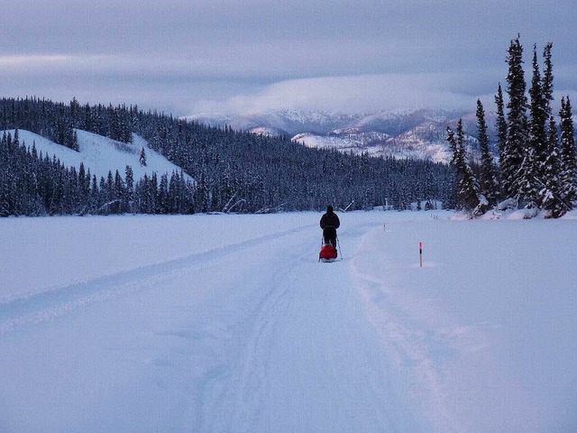 Christoph Kurth und der Schnee<ppp> se... beim Arctic Ultralauf am Yukon.</ppp>  | Foto: privat