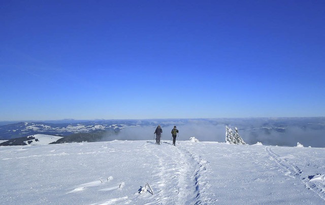 Das Haus der Natur bietet zurzeit Schneeschuhtouren an.   | Foto: ZVG