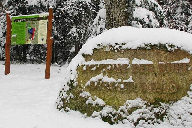 Bestattungswald bei Schloss Brgeln weckt Interesse in der Region