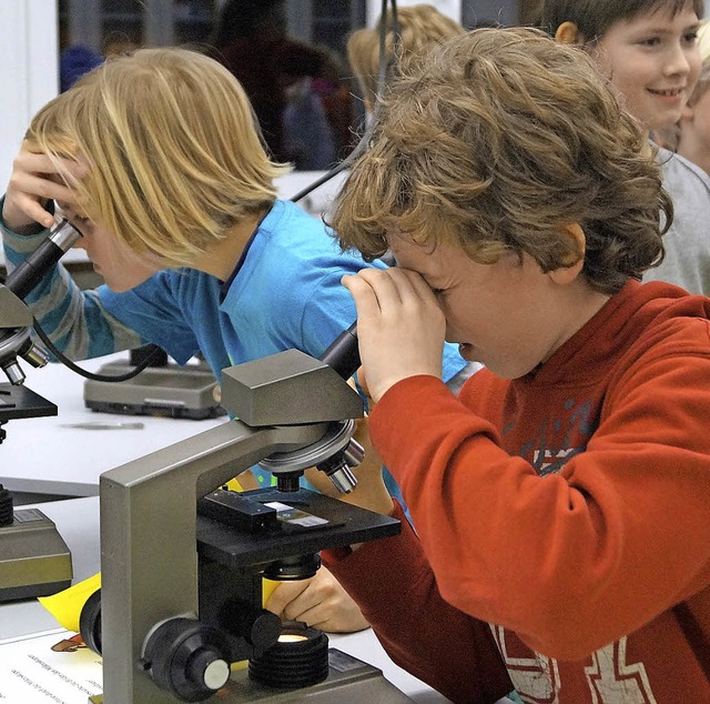 Durch Mikroskope durften Viertklssler...an der Breisacher Realschule schauen.   | Foto: Privat