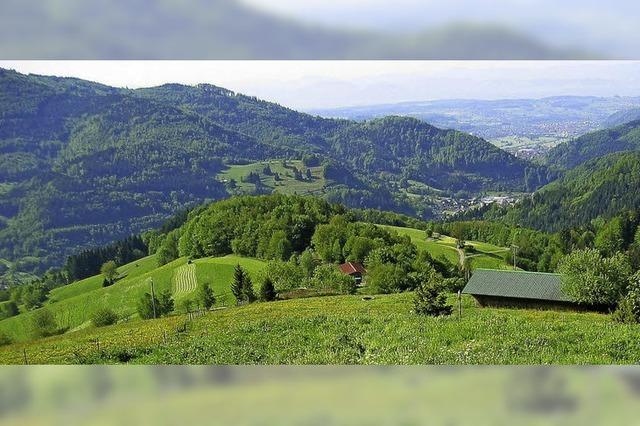 Die Schanzanlagen rund um Zell