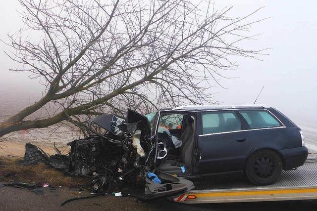 Frontal gegen den Baum