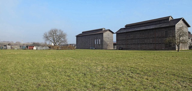 Auf der Wiese in Nachbarschaft zu den ...us und ein neuer Bauhof gebaut werden.  | Foto: Adelbert Mutz