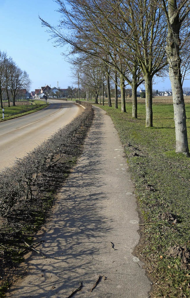 Anstelle des bestehenden Gehwegs soll ...eg fr Radfahrer und Fugnger geben.   | Foto: C. Breithaupt