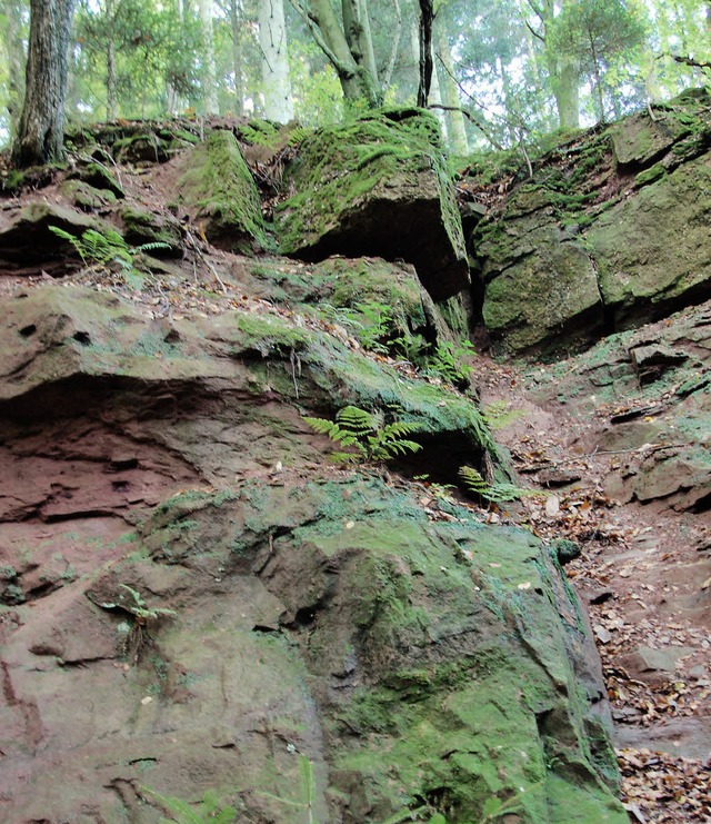 Der historische Steinbruch bei Tennenb...robebetrieb lieferte gute Ergebnisse.   | Foto: Gerhard Walser