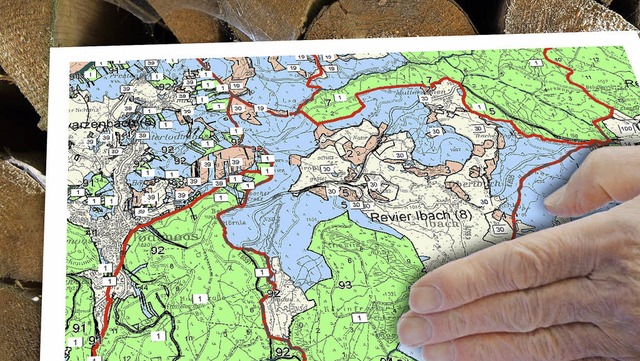Zerrissen und verteilt liegt der Gemei...rst (grn) und dem Privatwald (blau).   | Foto: Forstamt/Grafik: BZ