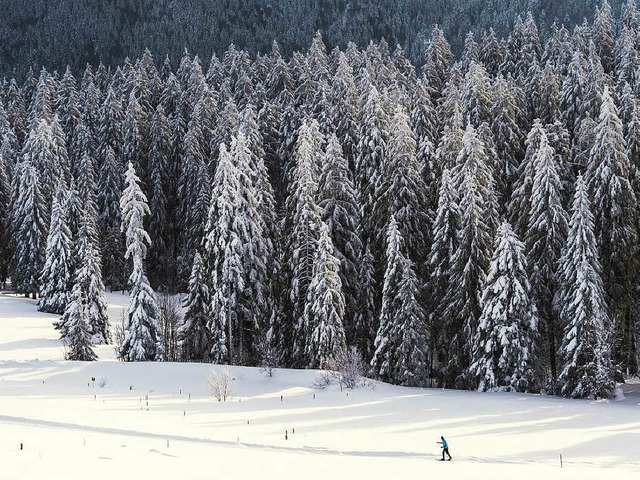 Das Urlaubsland Baden-Wrttemberg ist auch im Winter bei Touristen beliebt.  | Foto: dpa