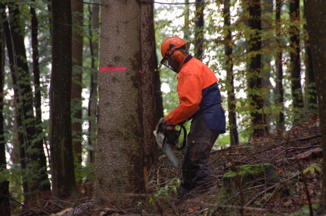 Forstbetriebsgemeinschaft Gundelfingen-Wildtal-Heuweiler  | Foto: Andrea Steinhart 