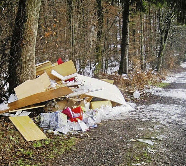 Ein groer Haufen Mll liegt am Riedmatthhlenweg.   | Foto: zvg