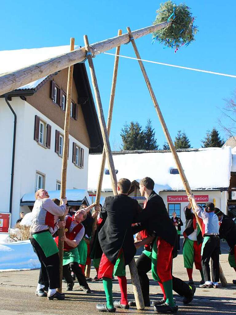 Mit vereinten Krften wurde der Narrenbaum in Breitnau aufgestellt.