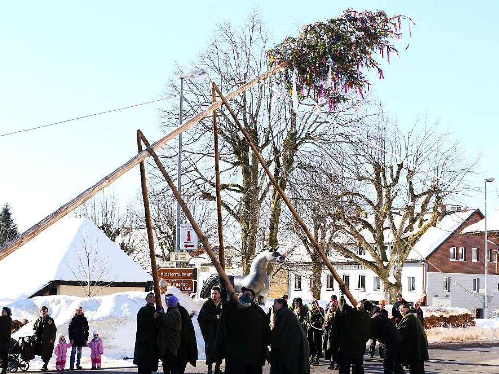 Auch in St. Mrgen wurde der Narrenbaum gestellt.