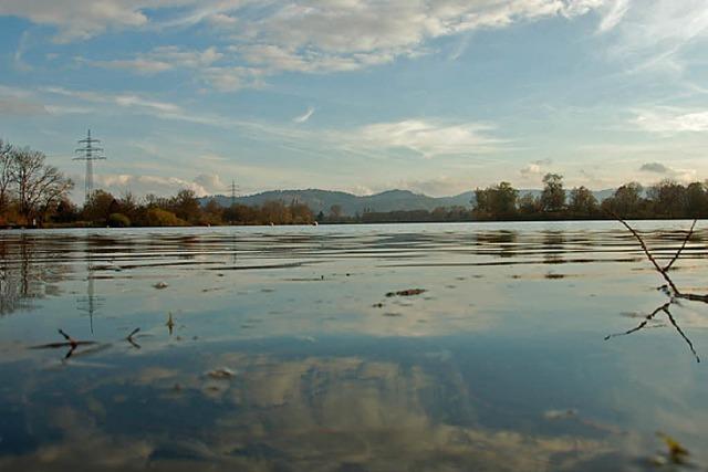 Wasserqualität im Gifizsee soll verbessert werden