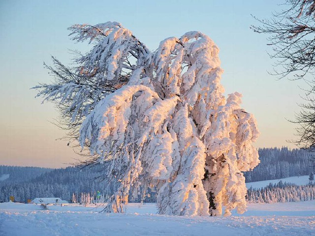 Ein Wintertraum: Weie Landschaften, g...cken: Doch wie entsteht dieser Zauber?  | Foto: Franz Rees