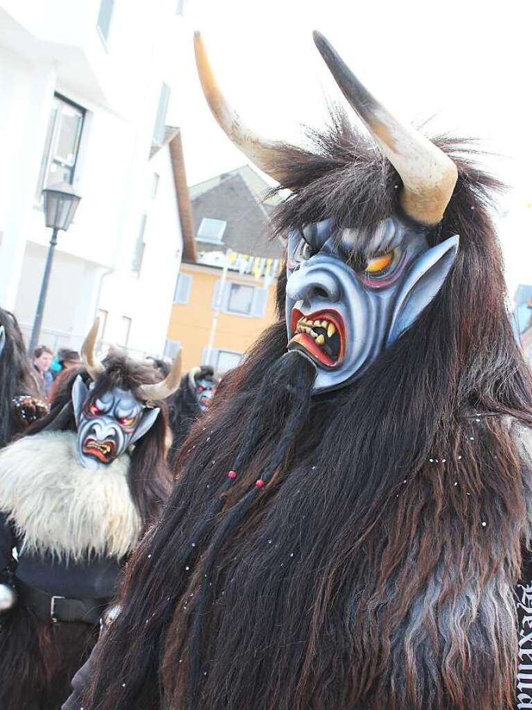 Viel zu sehen gab es beim Fasnet-Umzug in Bad Krozingen