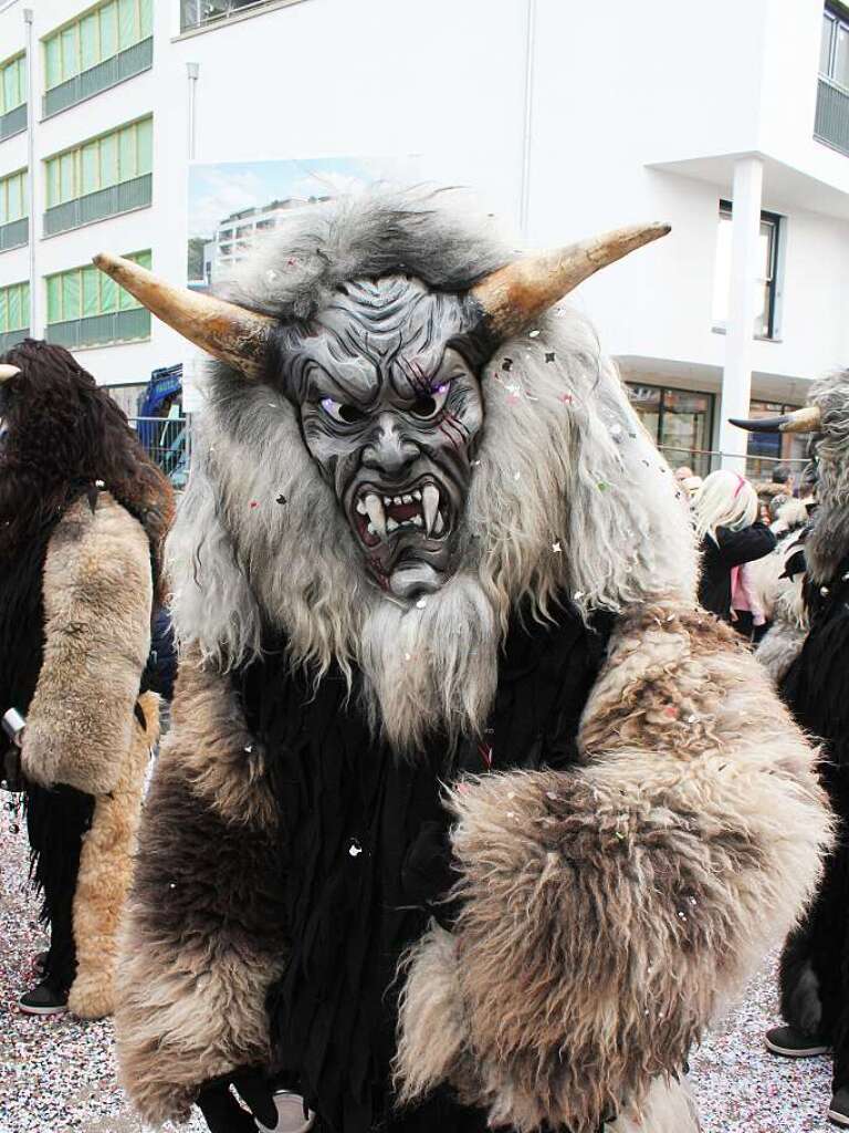 Viel zu sehen gab es beim Fasnet-Umzug in Bad Krozingen