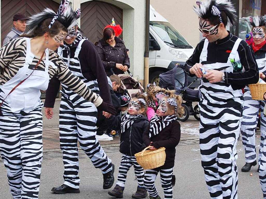 Diese Zebraherde, komplett mit Fohlen, war am Sonntag in Bonndorf unterwegs.