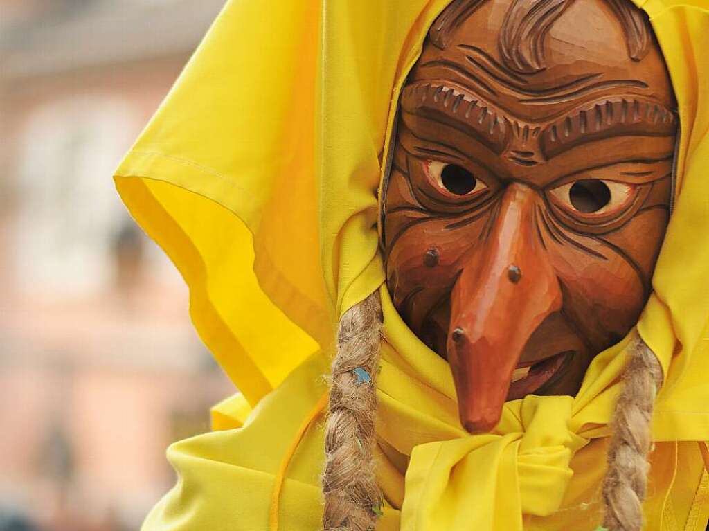 Bunt, tierisch und einfallsreich: In Schopfheim ging es am Fastnachtssonntag frhlich zu. Und die Besucher hatten ihre helle Freude.