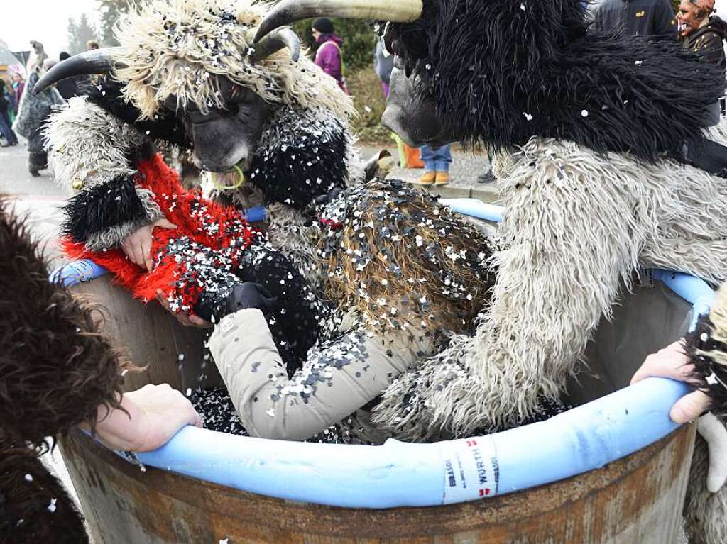 Konfettibad gab es auch bei den Hotzenwlder Urrindern.