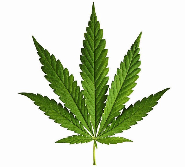 Der Zoll beschlagnahmte 17 Kilo Marihuana.  | Foto: boltenkoff - Fotolia